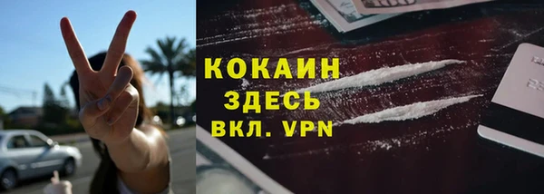 гашик Шадринск