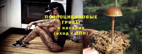 трава Ельня
