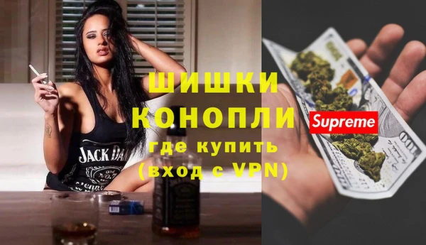 трава Ельня