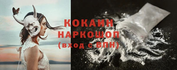 гашик Шадринск