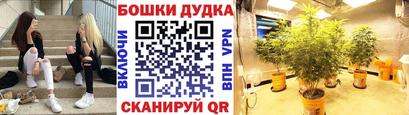 Конопля план  Купить где  Усмань 